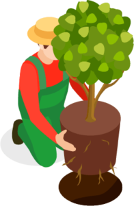 gardener instagram giveaway